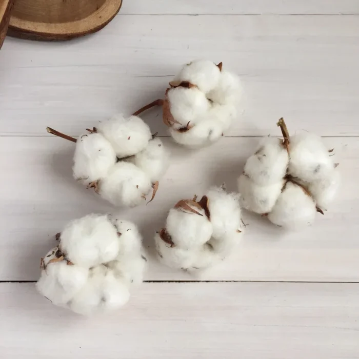 1542089013_hlopok-naturalnyj-