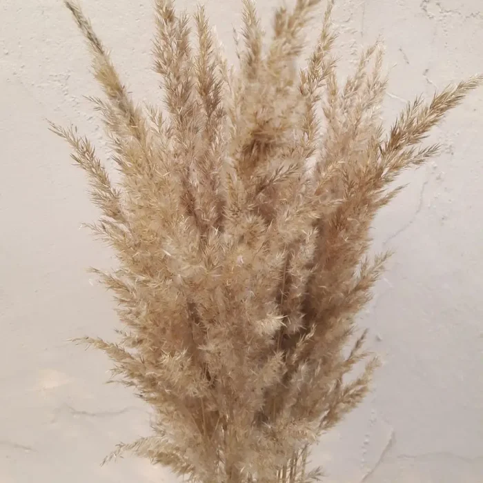 6796817547_w640_h640_6796817547