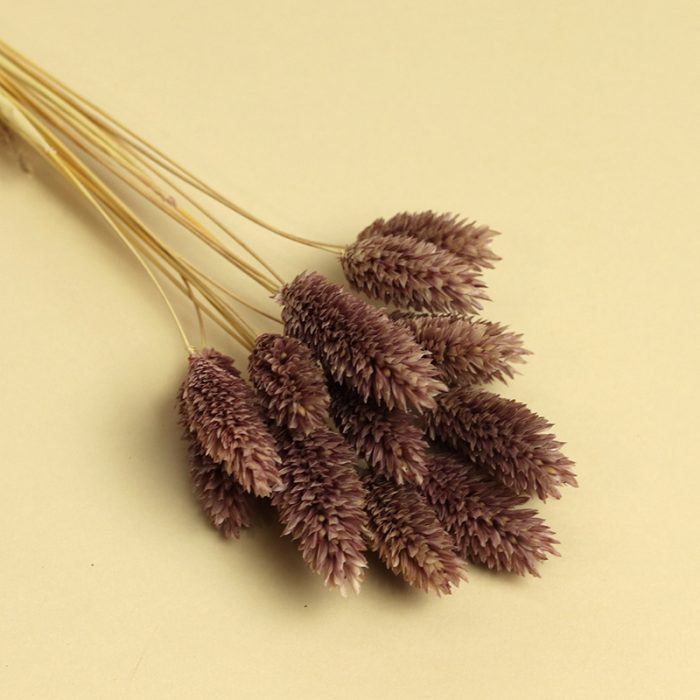 IMG_5773kopiya-800x800