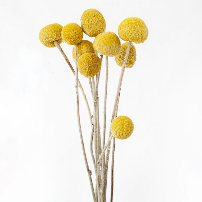 img_2691-2-1152x1536