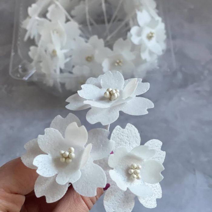 photo_5208816425856864154_y