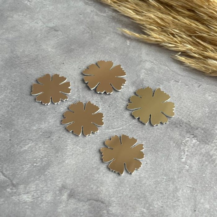 photo_5211068225670548243_y