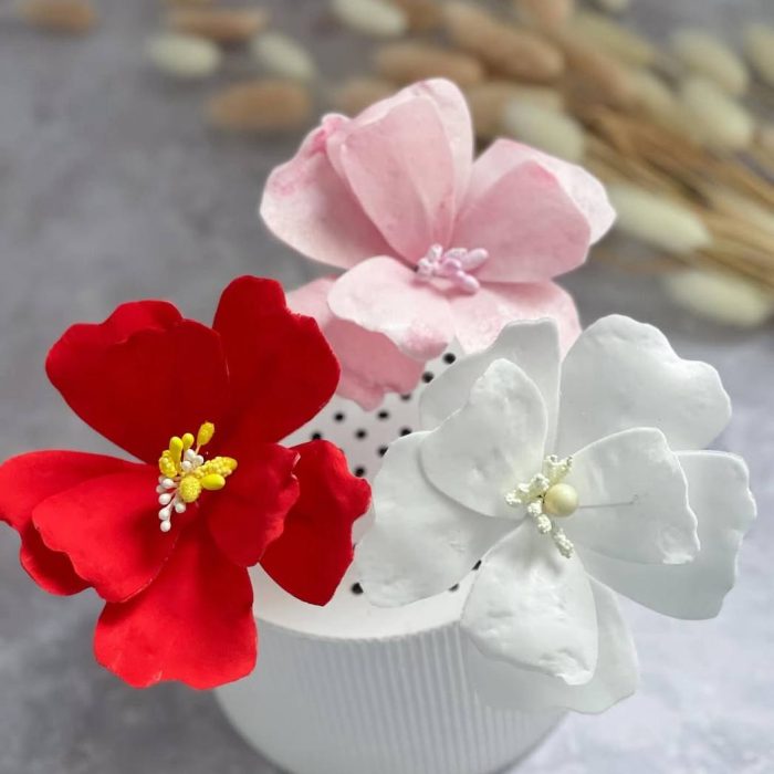 photo_5211101163774741439_y