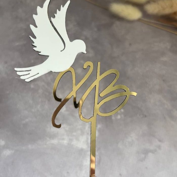 photo_5211101163774741836_y