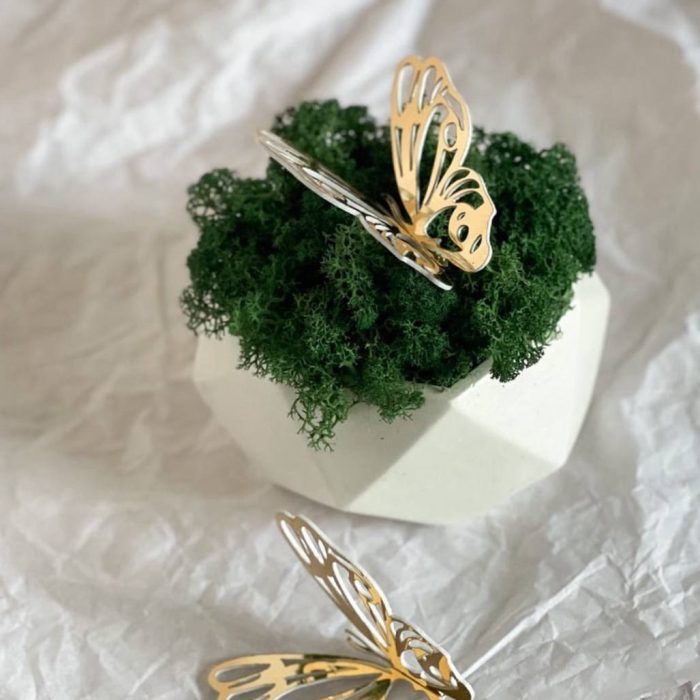 photo_5211101163774741888_y