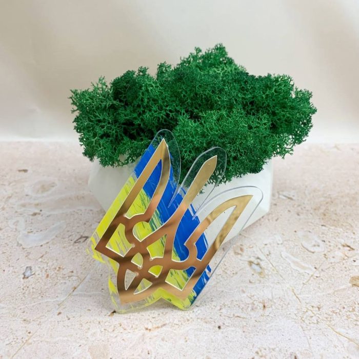 photo_5211101163774741985_y