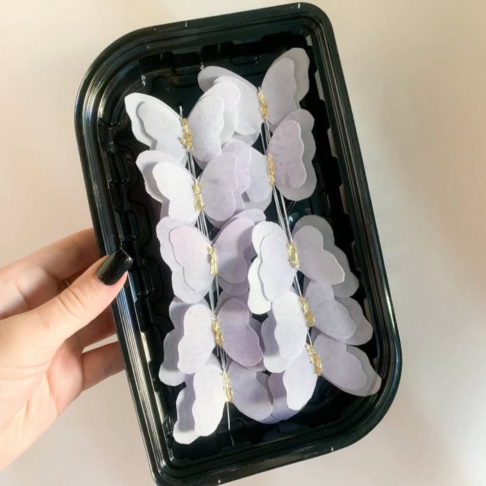 photo_5213352963588427062_y