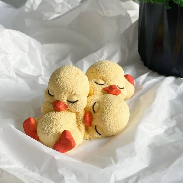 photo_5240184079553073055_y