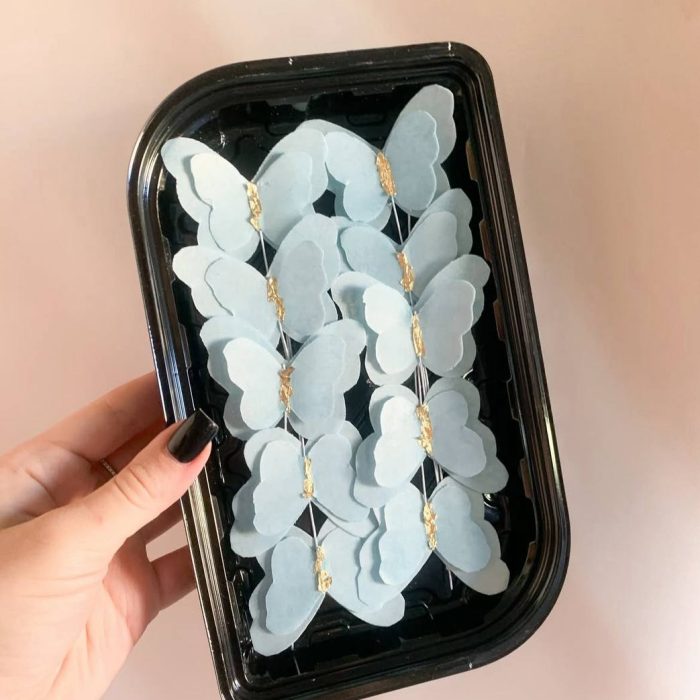 photo_5249041478938463790_y