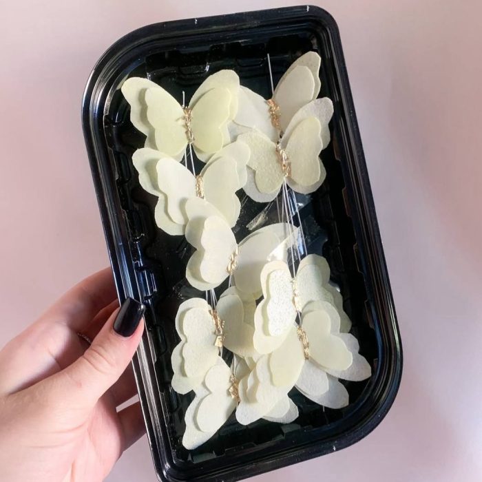 photo_5249041478938463791_y