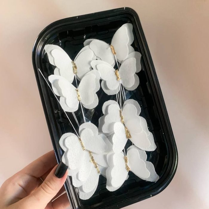 photo_5249041478938463795_y (1)