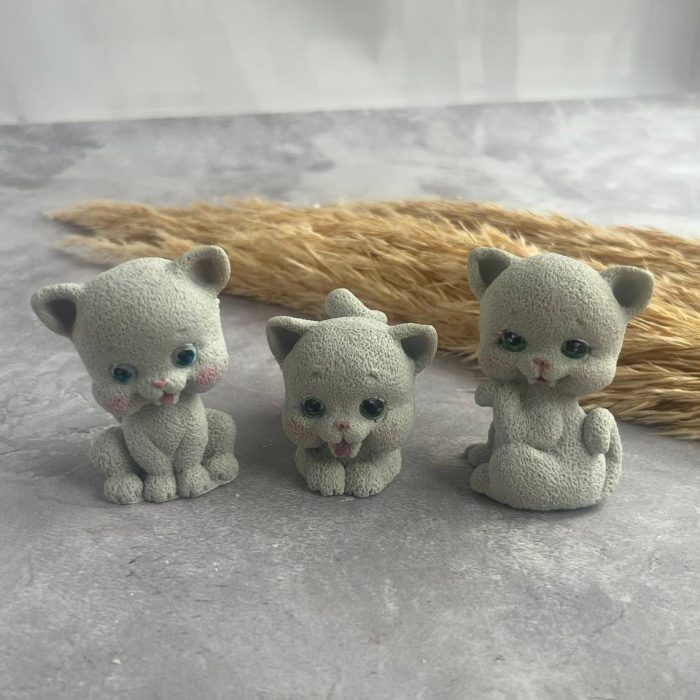 photo_5249041478938464037_y