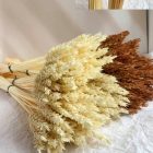 photo_5251219173386424290_y