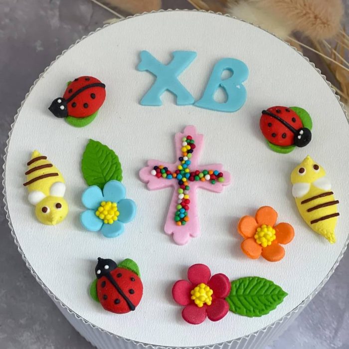 photo_5256242481236479874_y