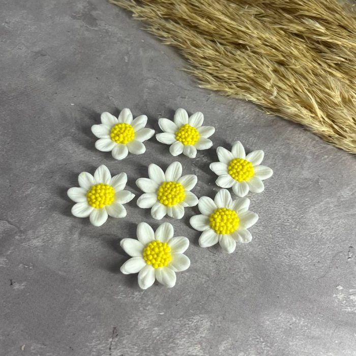 photo_5256242481236480006_y