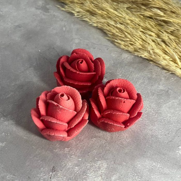 photo_5256242481236480010_y