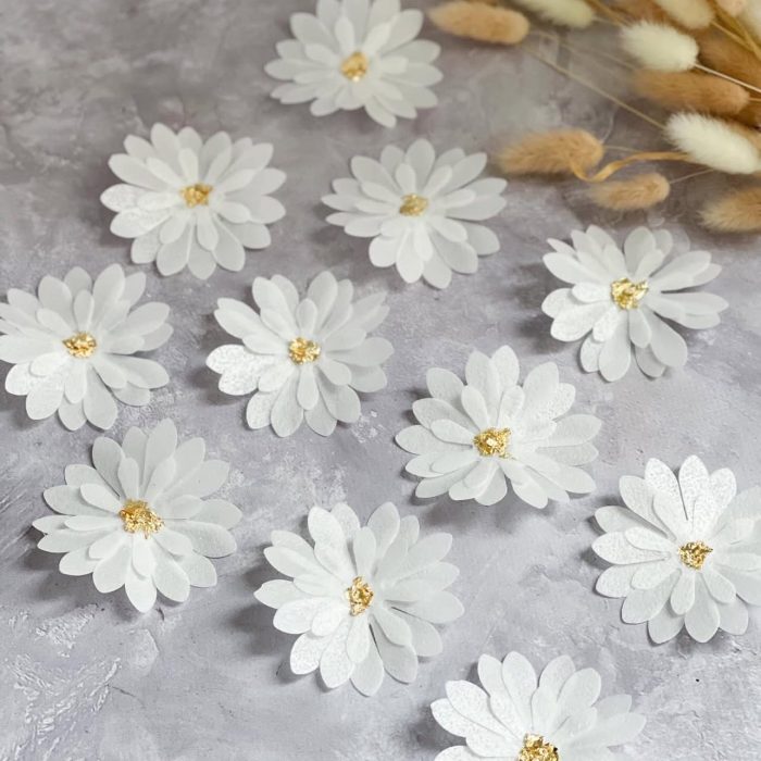 зображення_viber_2025-05-24_00-26-48-654