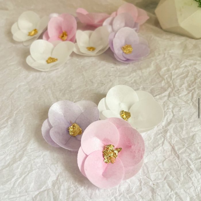 зображення_viber_2025-05-24_00-26-48-871