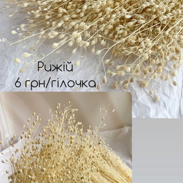 зображення_viber_2025-06-09_20-06-54-671