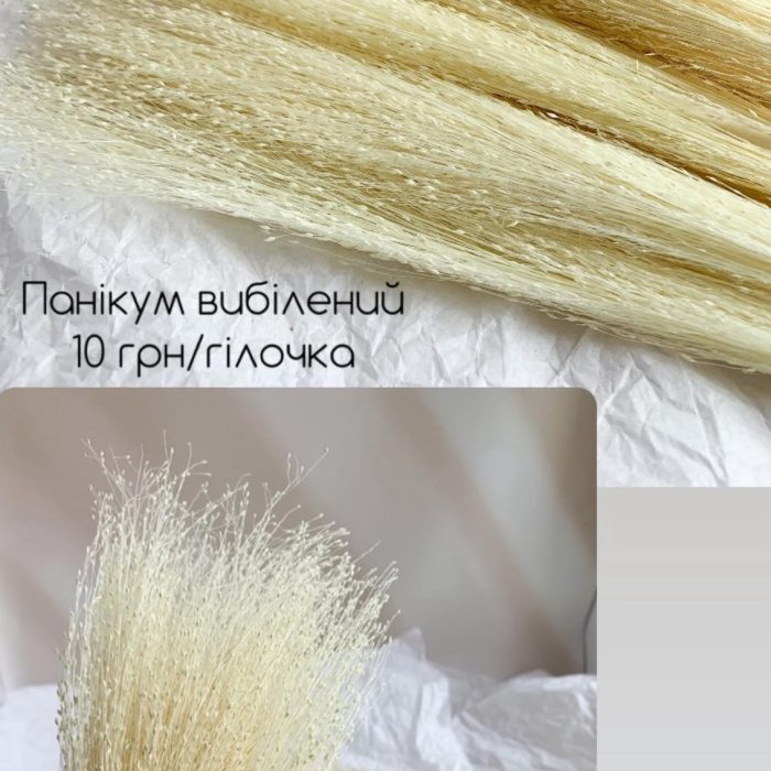 зображення_viber_2025-06-09_20-07-00-209