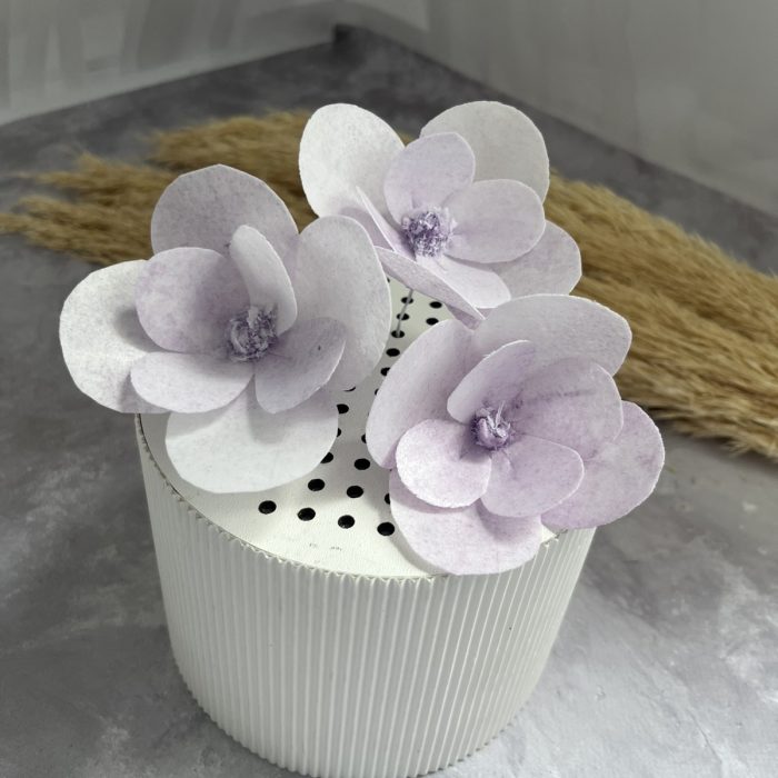 зображення_viber_2025-04-30_17-21-08-869