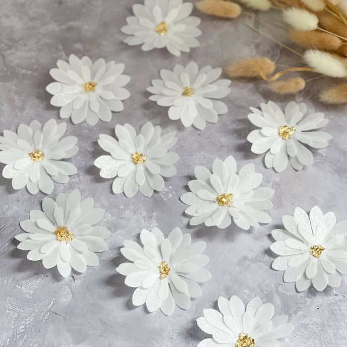 photo_5193169009590270799_y