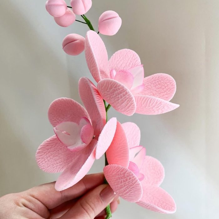 зображення_viber_2025-06-03_17-19-50-286