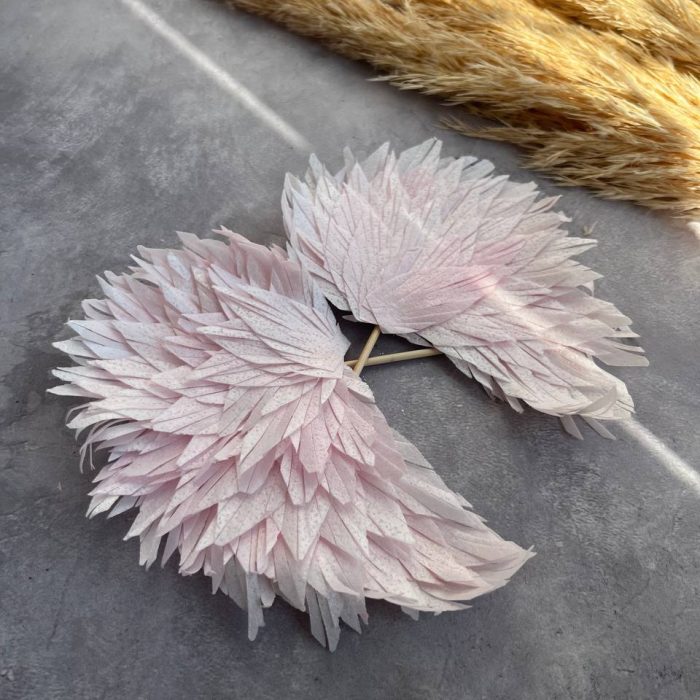 photo_5312009333036413707_y