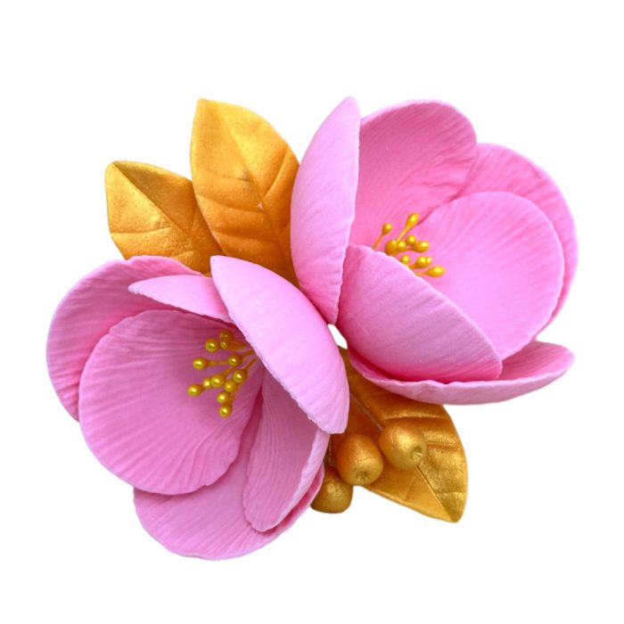 NF-00015664_250521030000