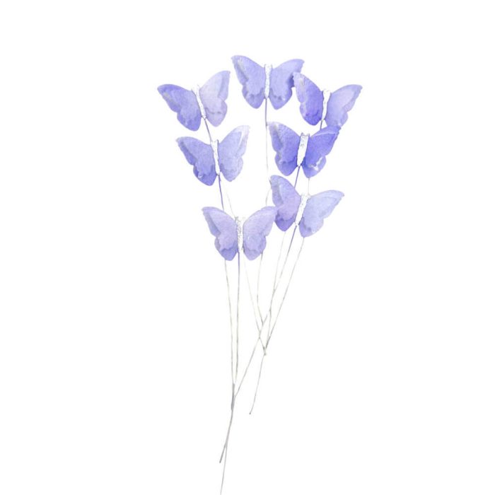NF-00024252_250723030008