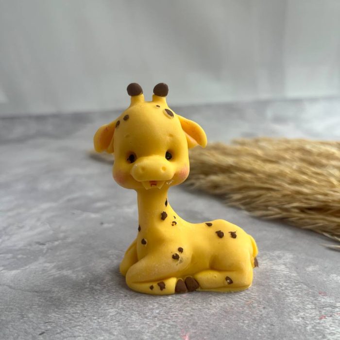 photo_5398051327705217146_y