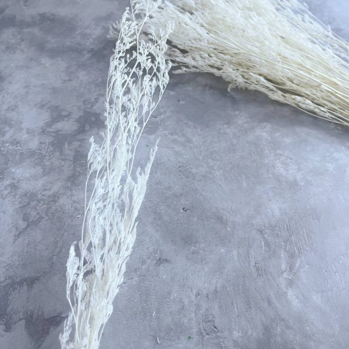 photo_5422449391941320048_y