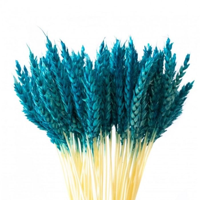 koloski-dekorativnye-25-shtuk-golubye-4-6-sm-4-850x850