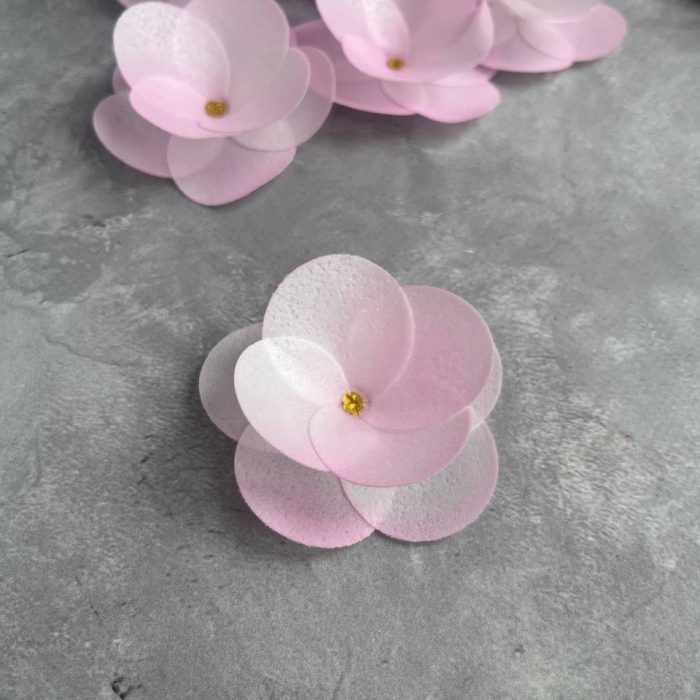 photo_5208816425856864184_y