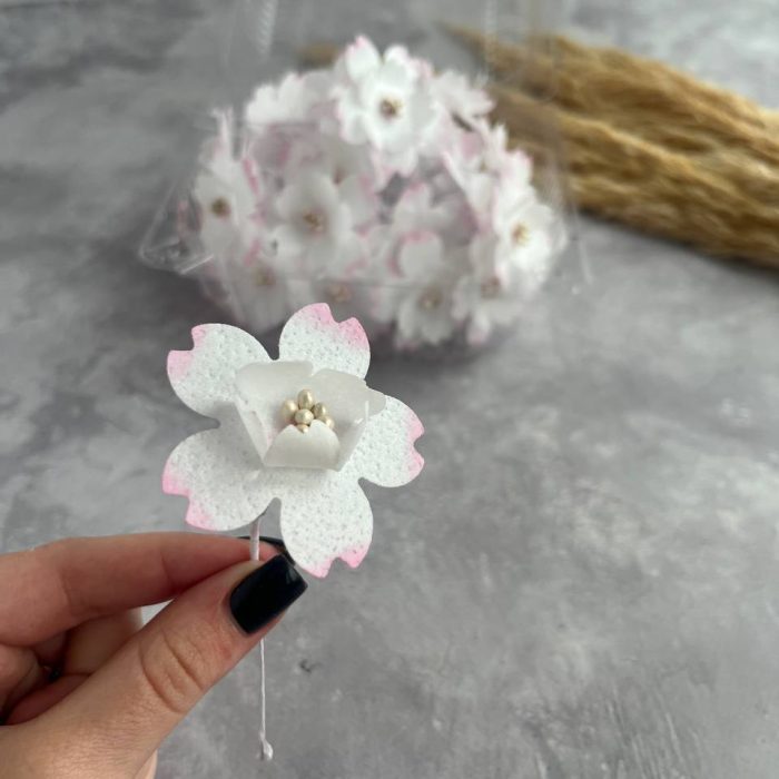 photo_5208816425856864185_y