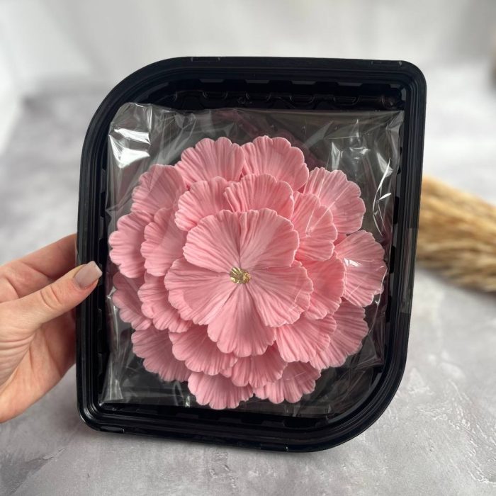 photo_5294032481134775984_y