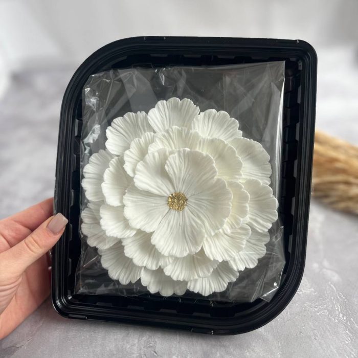 photo_5294032481134775985_y