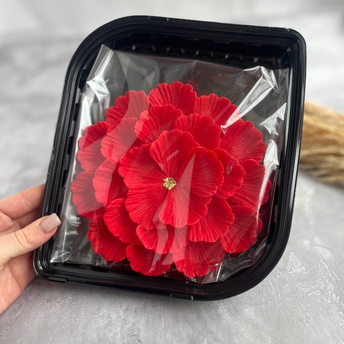 photo_5294032481134775986_y