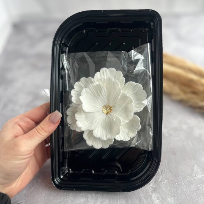 photo_5294032481134775988_y