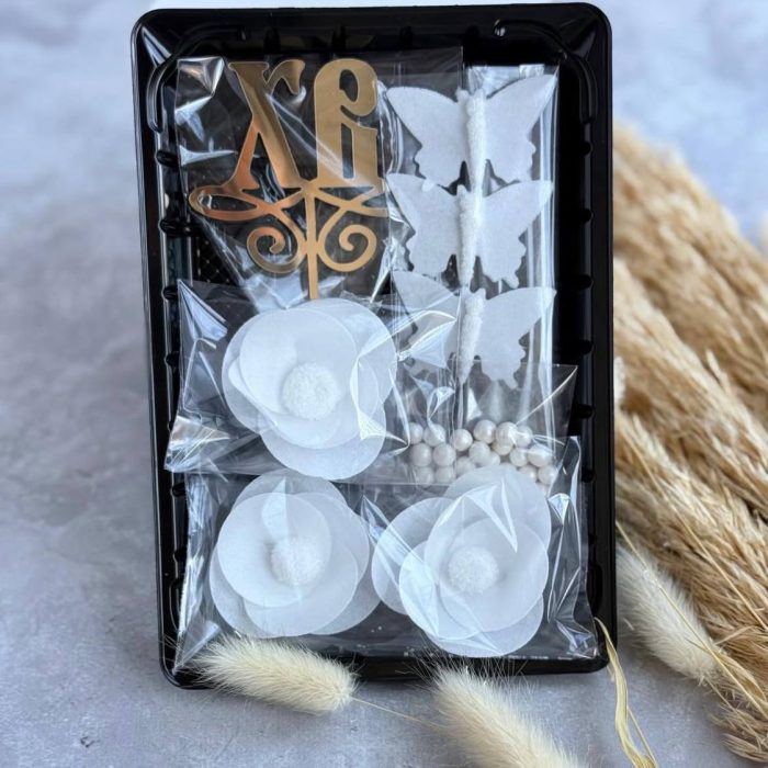 5201685976986619673 (1)